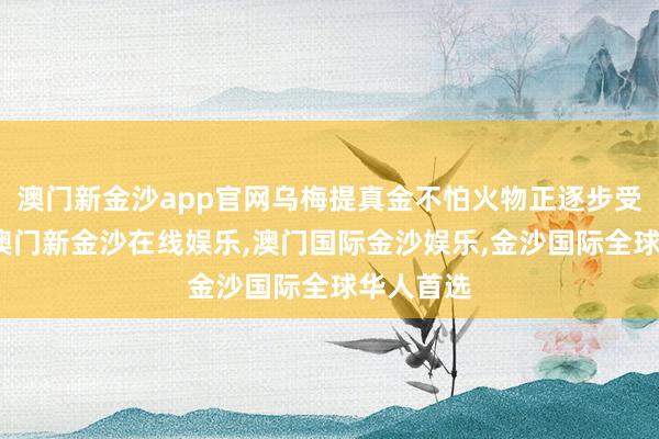 澳门新金沙app官网乌梅提真金不怕火物正逐步受到嗜好-澳门新金沙在线娱乐,澳门国际金沙娱乐,金沙国际全球华人首选