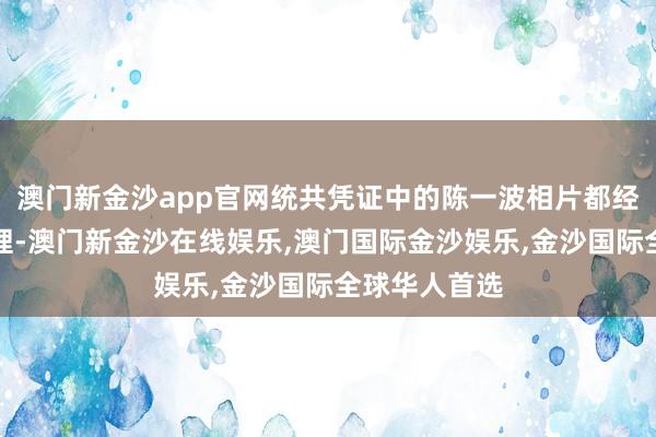 澳门新金沙app官网统共凭证中的陈一波相片都经过了无极处理-澳门新金沙在线娱乐,澳门国际金沙娱乐,金沙国际全球华人首选