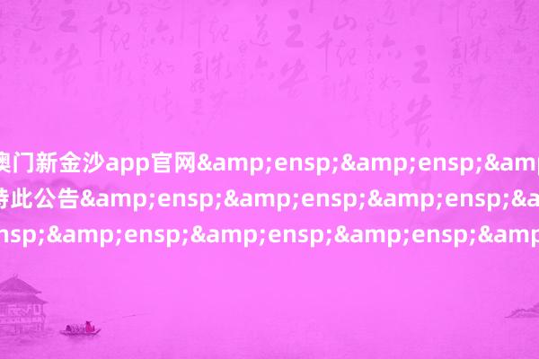 澳门新金沙app官网    特此公告                           